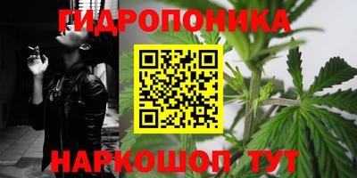 твердый Чапаевск